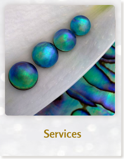 Mehar G's Services